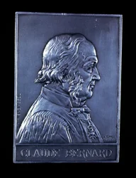 Claude Bernard, 19e eeuwse Franse fysioloog, 1913