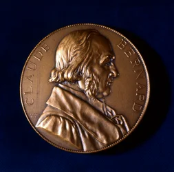 Claude Bernard, Franse fysioloog, 19e eeuw