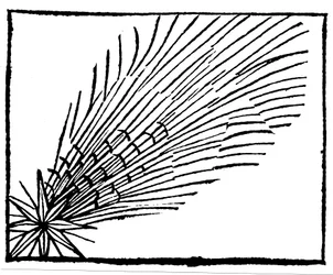 Komeet van 684 Halley, 1493