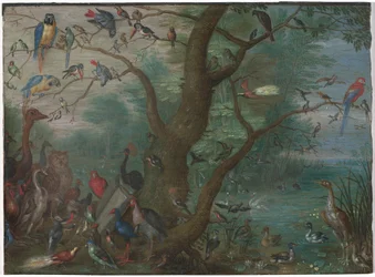 Concert van vogels, 1660-1670