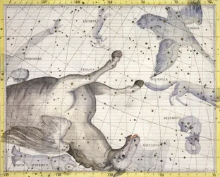 Constellatie van Pegasus, 1729