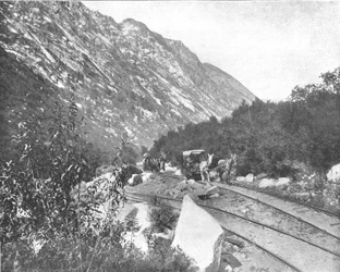 Cottonwood Canyon, Utah, VS