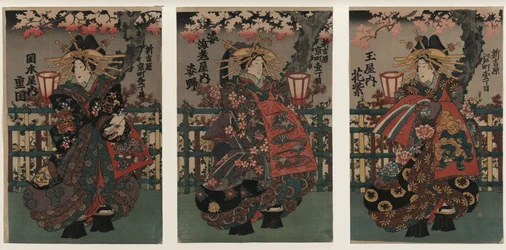 Courtisanes Shigeoka, Sugatano en Hanamurasaki. Drieluik. Uit de Serie De Schoonheden van de Yoshiw