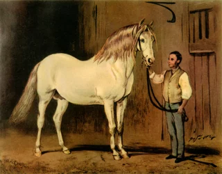 Cream State Carriage Horse van de Stoeterij van Koningin Victoria, c1875, 1944