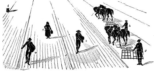 Vruchtwisseling: zaaien en eggen van maïs, 1855