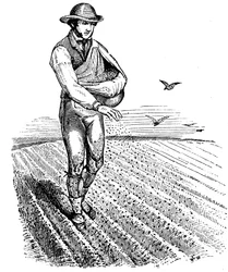 Vruchtwisseling: zaaien van zaad, 1855