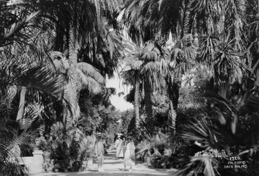 Dadelpalmen, Palermo, Sicilië, Italië, ca. 1920-1930