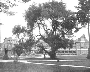 Del Monte, Monterey, Californië, VS, ca. 1900