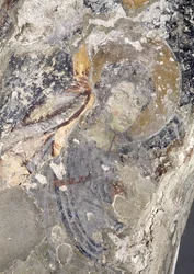Detail van een paleochristelijke fresco in de apsis (detail)