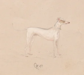Hond, 1800s