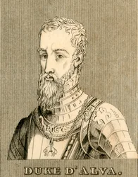 Hertog D