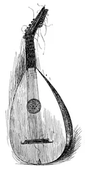 Vroege Paduaanse luit, 1901