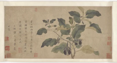 Aubergine, Yuan- of Ming-dynastie, 14e eeuw