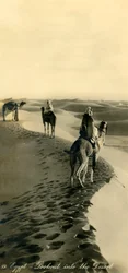 Egypte - Uitzicht in de Woestijn