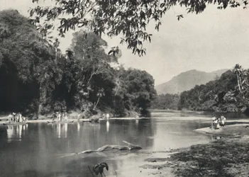 Olifantenbadplaats aan de Mahavaliganga bij Kandy, 1926