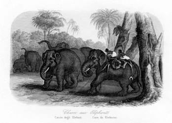 Olifantenjacht, India, ca. 1840