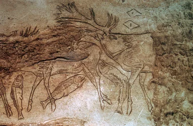 Gegraveerd bot uit Lortet, Hautes Pyrenees