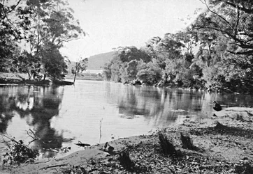 Avondschaduwen, Nationaal Park, c1900
