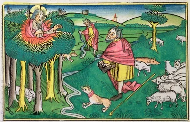 Exodus 3:1-22 en 4:1-4: de brandende struik en God bewapent Mozes met de wonderbaarlijke staf