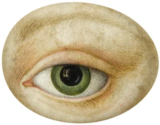 Oog, Begin 19e eeuw