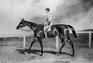 Fandango, 19e eeuw, 1911