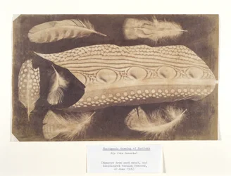 Veren, circa 1840