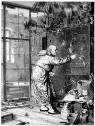 De huisdieren voeren, 1880