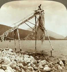 Visser die zalmnetten rangschikt in Balestrand aan de Sognefjord - Balholm in de verte, Noorwegen, ca. 1905