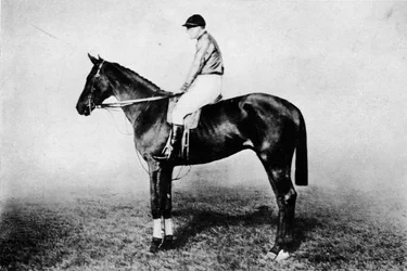 Flying Fox, 1896-1911, 1911