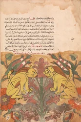Folio uit een Kalila wa Dimna, 18e eeuw
