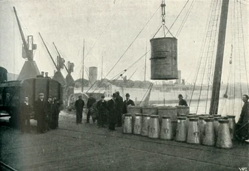 Franse melk gelost in Southampton, 1902