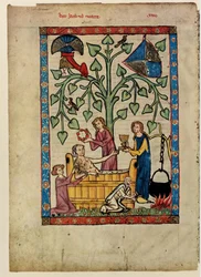 Uit de Codex Manesse, tussen 1305 en 1340