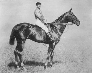Galtee More, 1894-1917