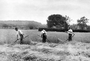 Hooien, 1926
