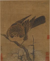Havik op een Bladloze Tak, Mogelijk Yuan-dynastie, 1279-1368