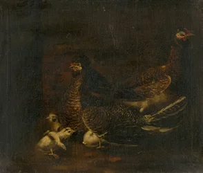 Hen met kuiken