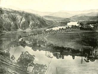 Hopvelden in Tasmanië, 1901