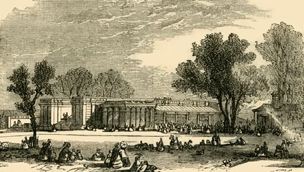 Huizen van de Carnivora, ca. 1876