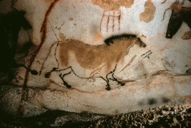 Grottekeningen in Lascaux, Frankrijk