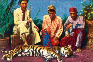 Jagers met dode tijger in Sumatra, c1928