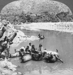 Opgeblazen stierenhuiden gebruikt als veerboten op de Sutlej-rivier, Punjab, India, c1900s