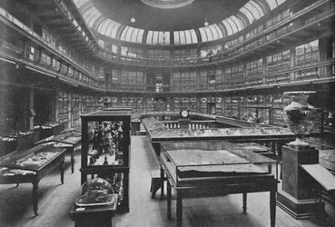 Interieur van het Geologisch Museum, Jermyn Street, 1904