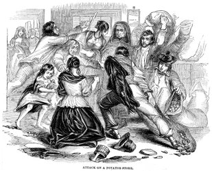 Ierse aardappelhongersnood, 1842