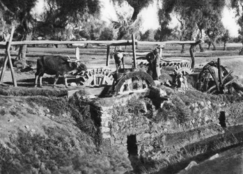 Velden irrigeren nabij Caïro, Egypte