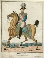 Jan Zygmunt Skrzynecki 1786-1860, 1831