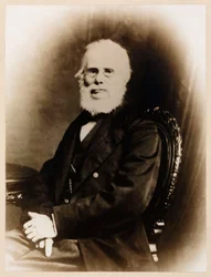 John Stringfellow, Engelse pionier luchtvaart, ca. 1880