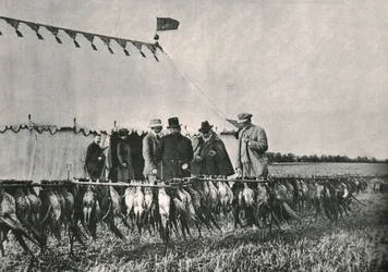 Koning Edward VII inspecteert de vangst op Sherborne Estate, 1902, 1910
