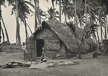 Kokospalmen en Inheemse Hut van Kokosbladeren