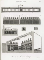 De kas voor het kweken van ananassen, elevatie en doorsnede van het gebouw