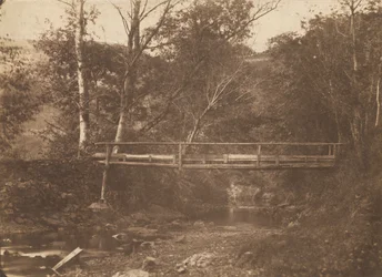 Landschap met bomen en brug